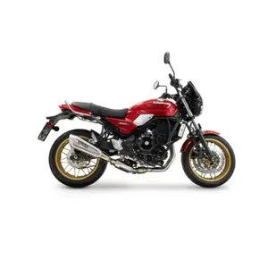 Ανάκτισμα μοτοσυκλέτας GPR Tech GP-Revo Kawasaki Z 650 RS 2024/2025 e5 plus image-2