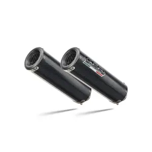 Silencer for motorcycle GPR Tech Aprilia Shiver 900 2017-2020 image-0