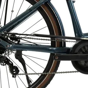 Elektriska cyklar Granville E-Absolute 34 Bosch Active Line 400W image-2