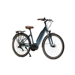 Bicicletta Granville E-Absolute 34 image-1
