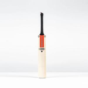 Children's cricket bat Gray-Nicolls Silver Edition image-1