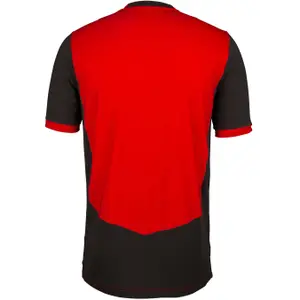 Jersey Gray-Nicolls T20 image-1