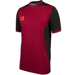 Jersey Gray-Nicolls T20 image-2