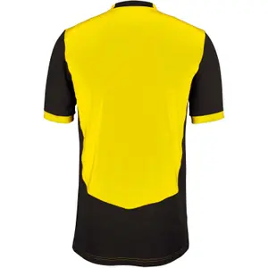 Jersey Gray-Nicolls T20 image-1