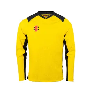 Long-sleeved pro jersey Gray-Nicolls T20 image-0