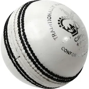 Cricketbal Gray-Nicolls Crown 5 Star image-0