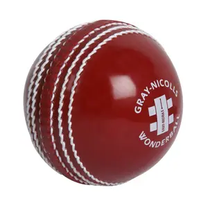 Cricket ball Gray-Nicolls Wonder image-0