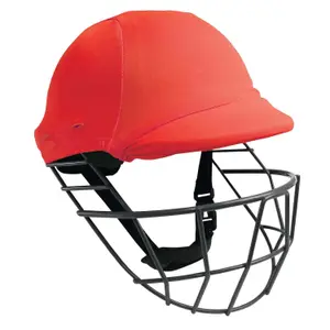 Cricket helmet Gray-Nicolls Clads image-0