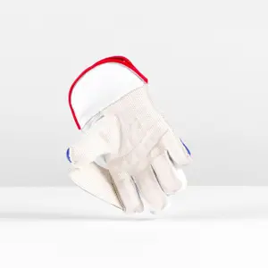 Kid's goalie gloves Gray-Nicolls Academy image-1