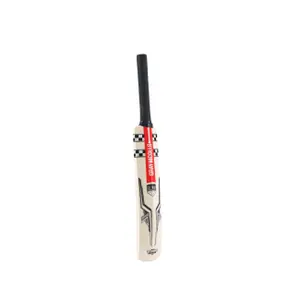 Cricket bat Gray-Nicolls Mini image-2