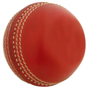 Children's mini cricket ball Gray-Nicolls image-0
