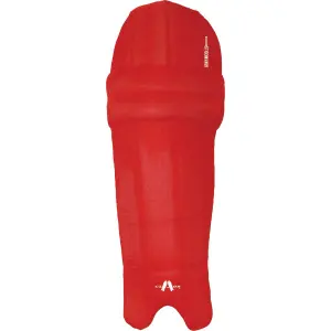 Shin guards Gray-Nicolls Clads image-0