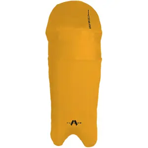 Leg guards Gray-Nicolls Clads image-0