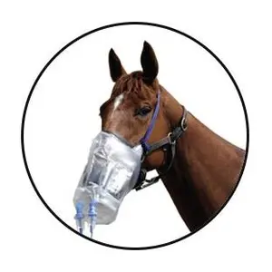 Horse mask Green Pex Top image-0