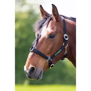 Cabresto para cavalos Greenguard image-0