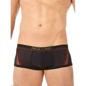 Boxer Gregg Homme Traveler image-0