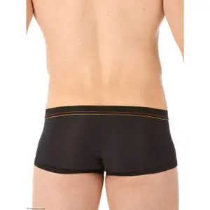 Boxer Gregg Homme Traveler image-1
