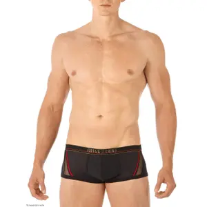 Boxer Gregg Homme Traveler image-2