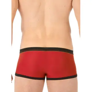 Boxer Gregg Homme Traveler image-1