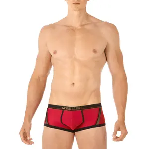 Boxer Gregg Homme Traveler image-2