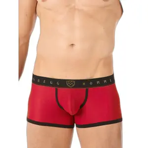 Boxer shorts Gregg Homme Traveler