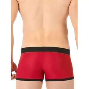 Boxer shorts Gregg Homme Traveler image-2