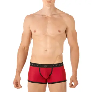 Boxer shorts Gregg Homme Traveler image-3