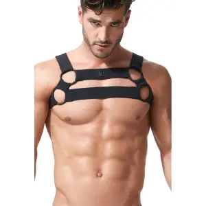 Harness Gregg Homme Octane 2.0 image-1