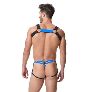 Harness Gregg Homme Octane 2.0 image-6