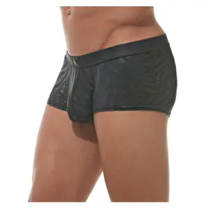 Boxer Gregg Homme Hookt image-1