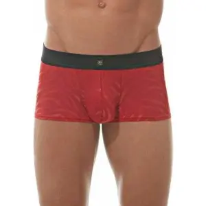 Boxer Gregg Homme Hookt image-0