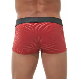 Boxer Gregg Homme Hookt image-1