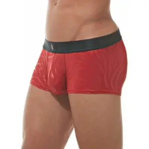 Boxer Gregg Homme Hookt image-2