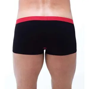 Boxer shorts Gregg Homme Pump Up image-1