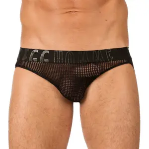 Briefy Gregg Homme Jock Tease