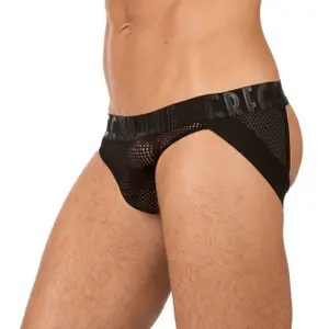Briefy Gregg Homme Jock Tease image-1