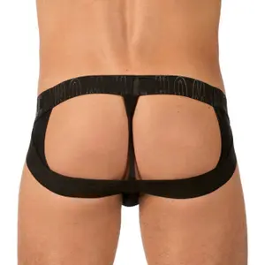 Briefy Gregg Homme Jock Tease image-2