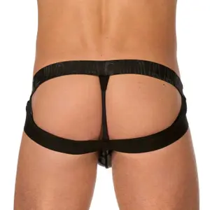 Briefy Gregg Homme Jock Steam image-2