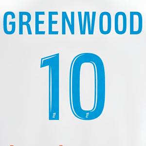 marking-005397-home-printing-om-ligue-1-greenwood-10-2024-26-sky-blue