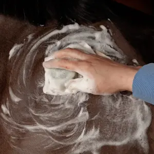 Champú sólido con propóleo Grooming Deluxe image-3