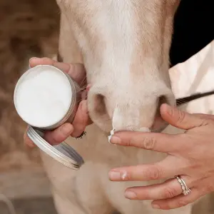 Αντηλιακή κρέμα για άλογα Grooming Deluxe Sunblock image-3