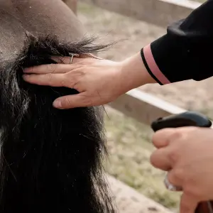 Spray Grooming Deluxe Itch Stop Plus image-3