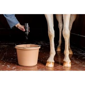 Hästschampo med mandel för glansigt päls Grooming Deluxe image-2