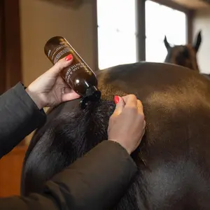 Cuidado de las crines de los caballos Grooming Deluxe Serum image-6