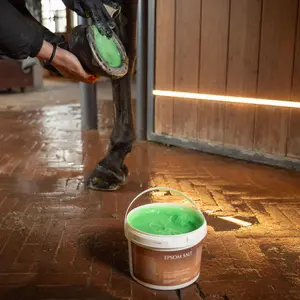 Cuidado de los cascos de los caballos Grooming Deluxe Epsom Salt image-4