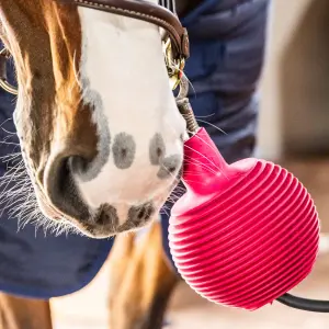 Bola de proteção de longa para cavalo em borracha Grooming Deluxe image-2