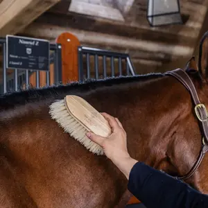 Ξύλινη βούρτσα για άλογα Grooming Deluxe Classic long image-4
