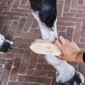 Ξύλινη βούρτσα για άλογα Grooming Deluxe Classic short image-4