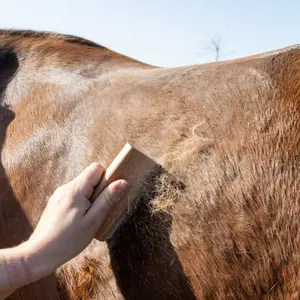 Brosse para cavalo de muda Grooming Deluxe image-3