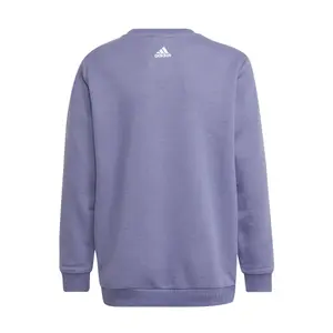 Sudadera niño adidas Essentials Logo image-1